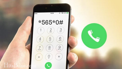 how to check bvn number with mtn line